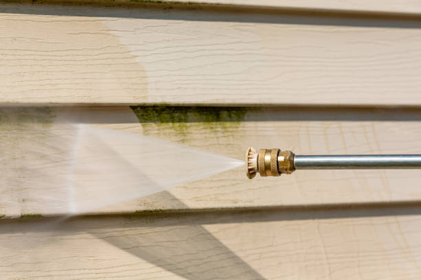 Best Deck Cleaning Services  in Artondale, WA