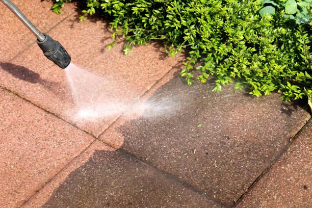 Best House Pressure Washing  in Artondale, WA